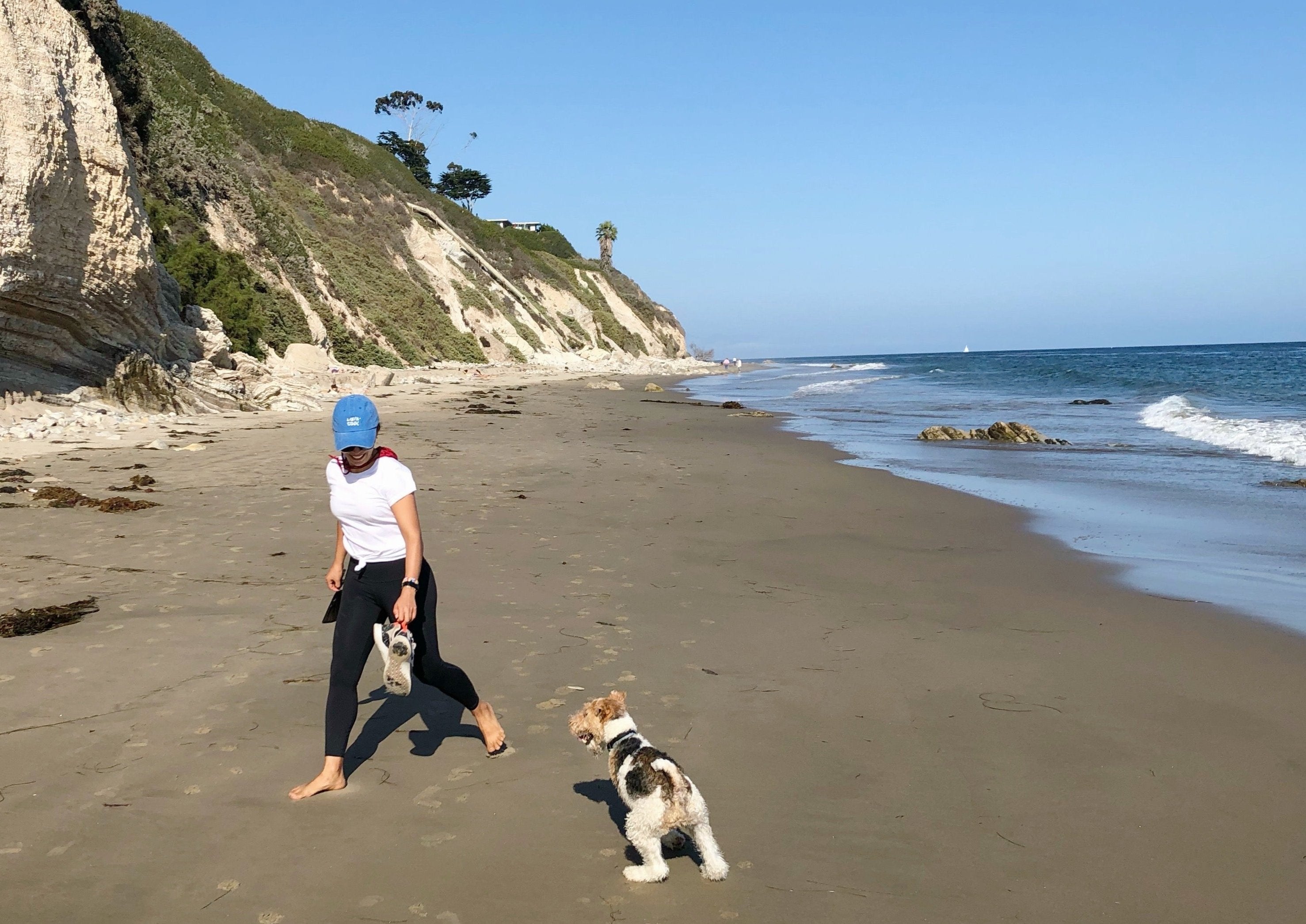 Preparing to Welcome a New Dog Home: A Guide for a Smooth Start