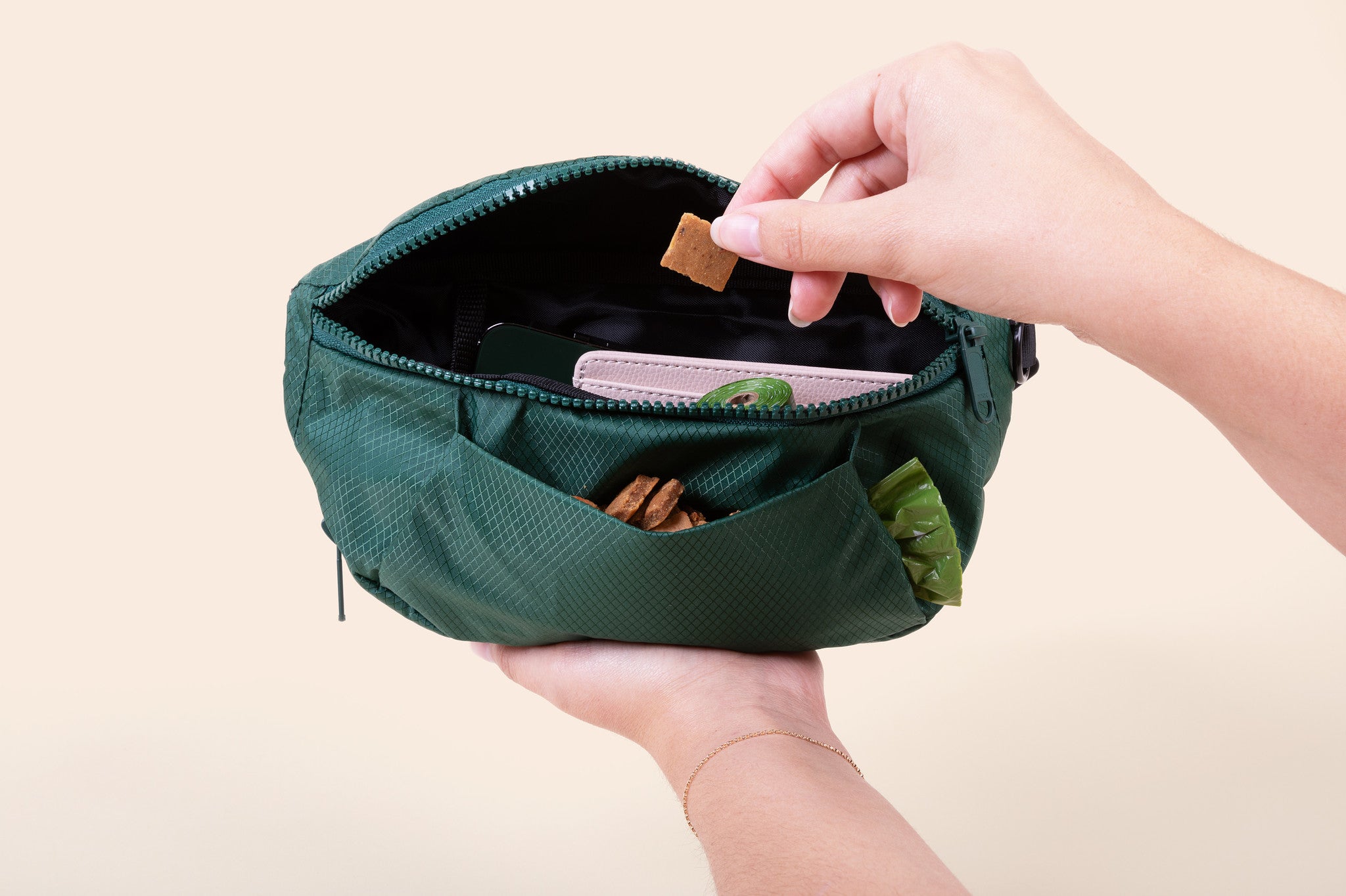 Frances dogs bag green treats poop bag holder