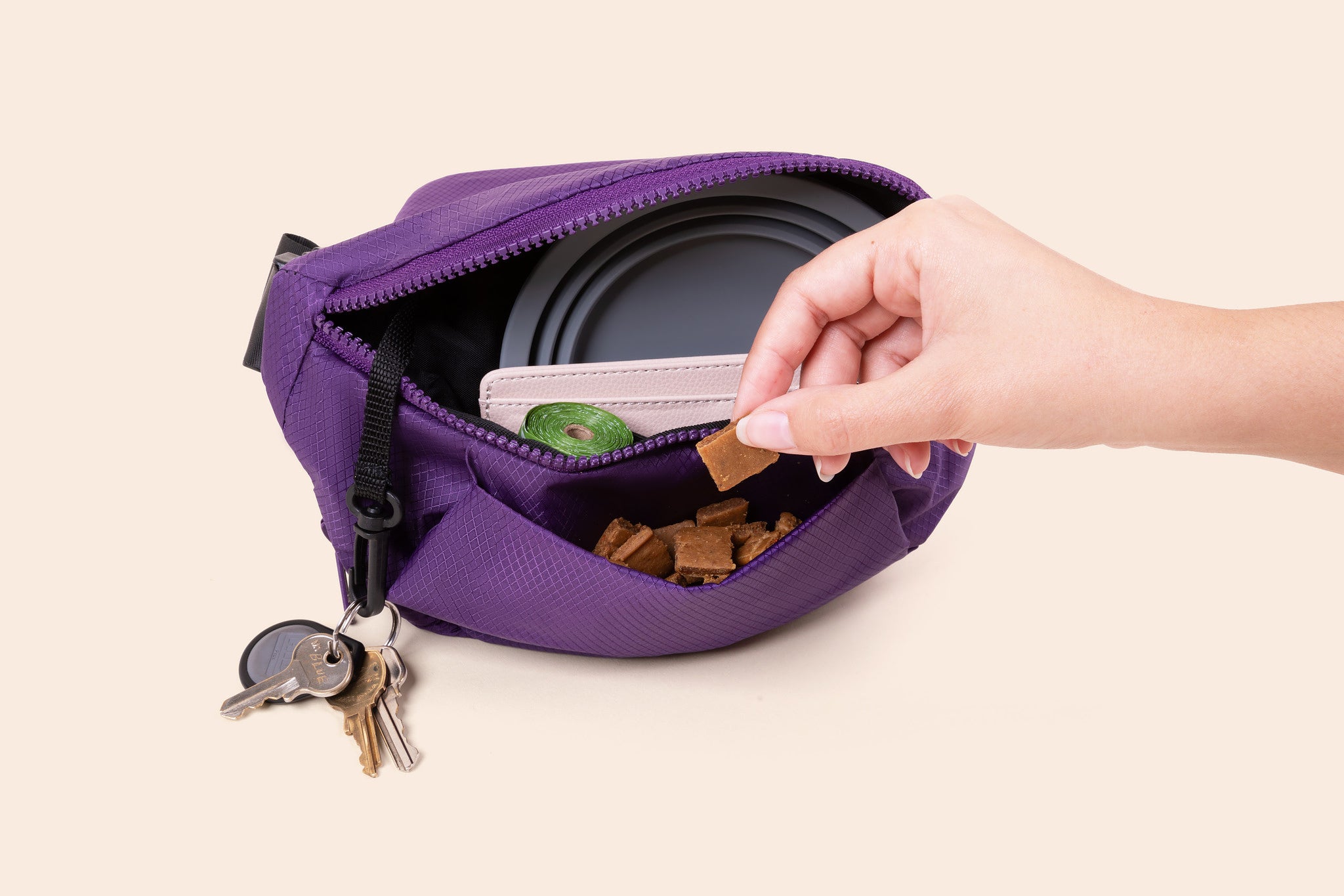 Frances dogs bag PlayWalk treats pocket